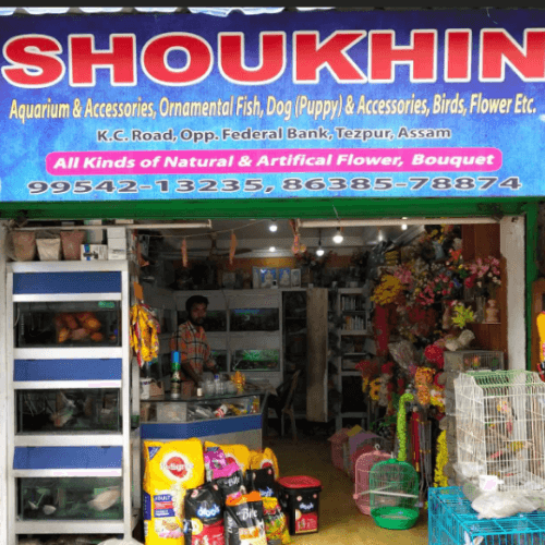Shoukhin Pet Store, Tezpur