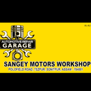 Sangey Motors Workshop Car Repair, Polo Field
