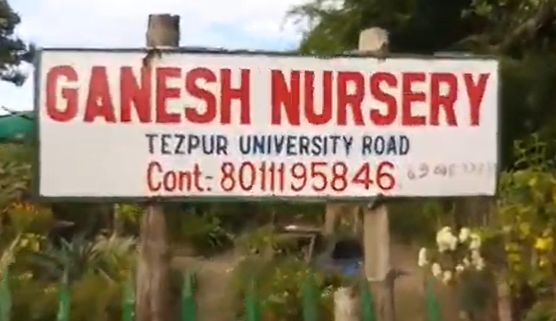 Ganesh Nursery photo 2