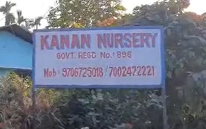Kanan Nursery photo 2